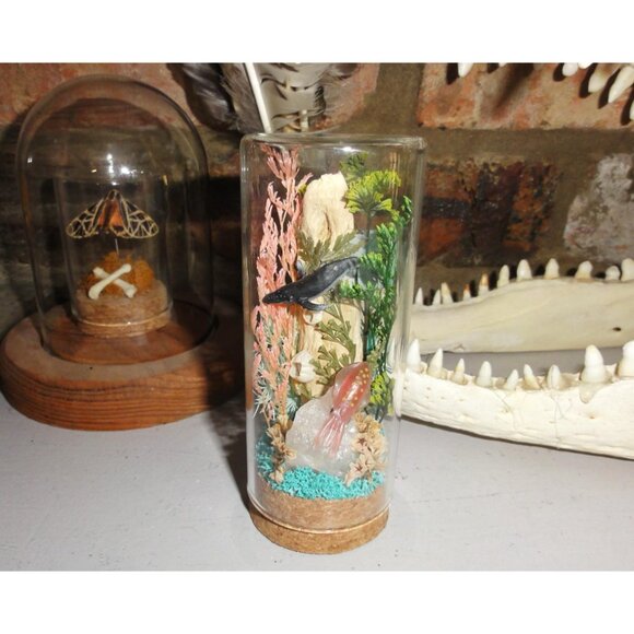 Humpback Whale & Squid Ocean Themed Oddity Jar curiosity dome crystal sea life - Picture 3 of 15